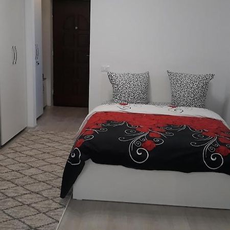 Irvin Apartament Ιάσιο Εξωτερικό φωτογραφία