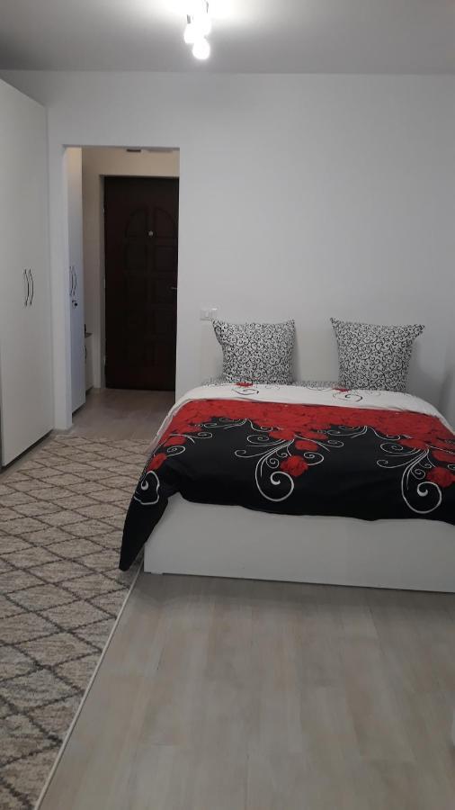 Irvin Apartament Ιάσιο Εξωτερικό φωτογραφία