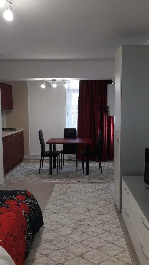 Irvin Apartament Ιάσιο Εξωτερικό φωτογραφία