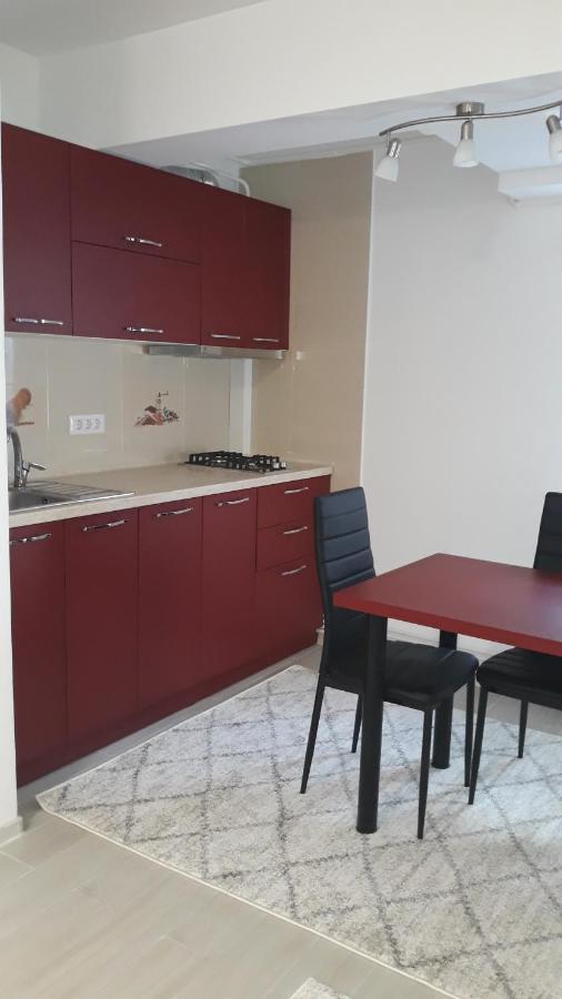 Irvin Apartament Ιάσιο Εξωτερικό φωτογραφία